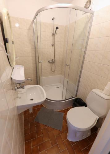 a bathroom with a toilet and a shower and a sink at AGRO obiekt hotelowy in Wrocław