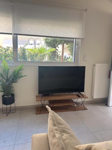 Televisyen dan/atau pusat hiburan di Terra Apartment