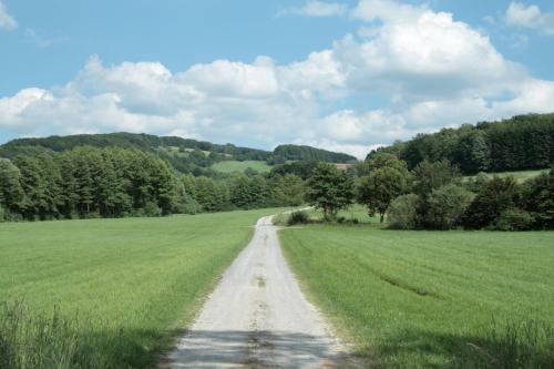 a dirt road in the middle of a field at Rhönhotel Alte Mühle in Weyhers