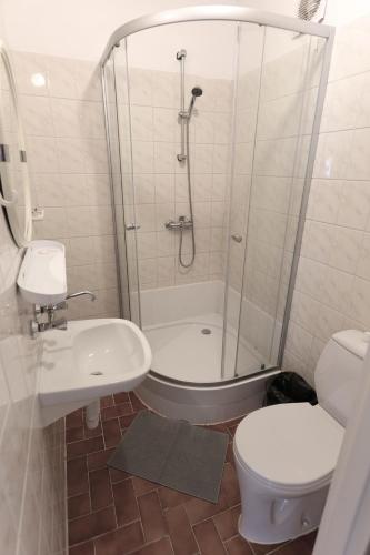 a bathroom with a shower and a toilet and a sink at AGRO obiekt hotelowy in Wrocław