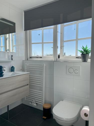 a bathroom with a toilet and a sink and windows at Landhuis Mariëtta in De Koog