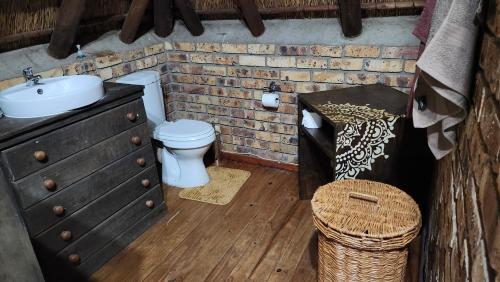 a bathroom with a sink and a toilet and a counter at Parradys Marloth Park in Marloth Park