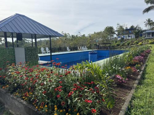 a swimming pool in a garden with flowers at Helens Mountain Resort in Binungan