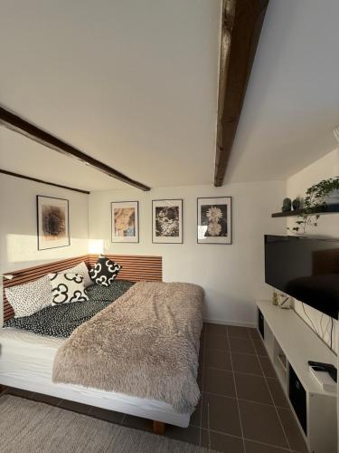 Un dormitorio con una cama y un televisor de pantalla plana. en 1st Class Escape, en Kågeröd