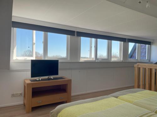 a bedroom with two beds and a tv on a table at Landhuis Mariëtta in De Koog