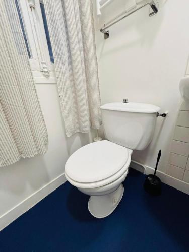 La salle de bains est pourvue de toilettes blanches et d'un sol bleu. dans l'établissement Appartement Boucicaut Tour Eiffel, à Paris