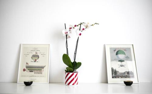Lovely Sempione Apartment photo 15