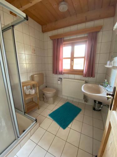 La salle de bains est pourvue d'un lavabo, de toilettes et d'une douche. dans l'établissement Berggasthof Ferienhaus Gut Lichtenau, à Hauzenberg