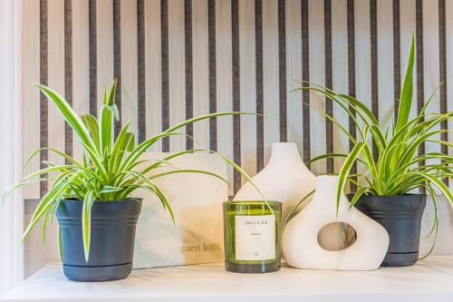 Rainforest Tiny Home Retreat #22 Nordic