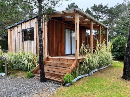 Afbeelding uit fotogalerij van Forest Gate Apartments and Rooms in Plettenbergbaai