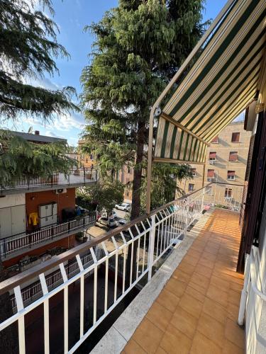 Terrazza 74