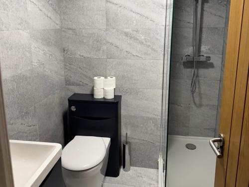 a bathroom with a toilet and a sink and a shower at 1 St Marys Court in Tenby