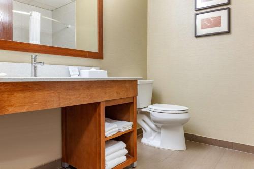 a bathroom with a sink and a toilet at Comfort Suites Dover University Area in Dover