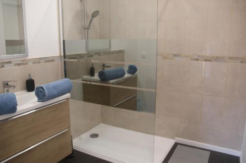 Un baño con ducha, inodoro y lavabo. en Escapade en bord de Dordogne, en Bourg-sur-Gironde