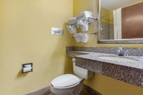 a bathroom with a toilet and a sink and a mirror at Quality Inn Williamston in Williamston