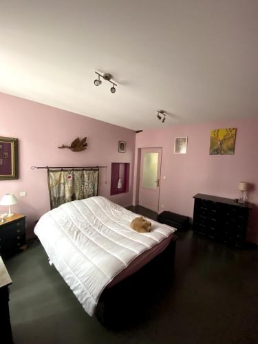 une chambre avec un lit sur lequel est allongé un chat dans l'établissement House with good energy, à Marminiac