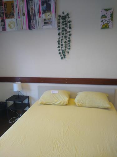 a bed with two pillows on top of it at Melaya Private Rooms in Faro