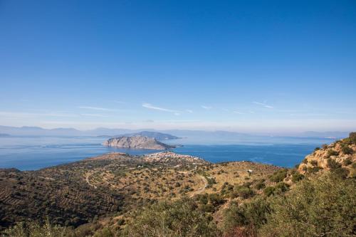 Gambar di galeri bagi Art Villa Vasiliki di Sfendoúrion