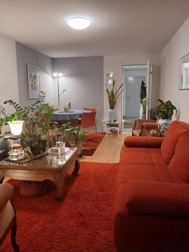 a living room with a couch and a table with plants at Divina in Riehen