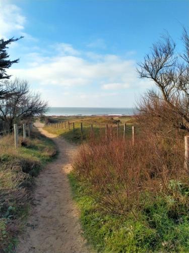 un chemin de terre menant à un champ avec l'océan dans l'établissement Maison neuve entre mer et forêt au calme, à Notre-Dame-de-Monts