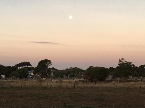 a moon in the sky over a field at 3 Campsites ONLY for Self contained Motor Homes RVs ONLY! BYO Toilet and bed! DIDO Spirit of Tasmania Stopover in Lara