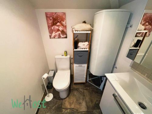 une petite salle de bain avec toilettes et lavabo dans l'établissement Montalibet - CI - PB - 2 Nice house Parking, à Bayonne