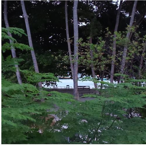 a park with a bench in the woods at Seabreeze View - Huraa Island in Huraa