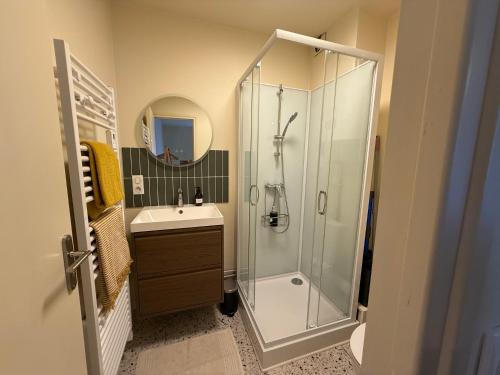 un baño con ducha y lavabo en Duplex avec patio - Quartier historique, en Moulins