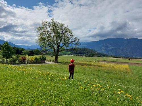 a person standing in a field with a tree at Krebslechnerhof in Brunico