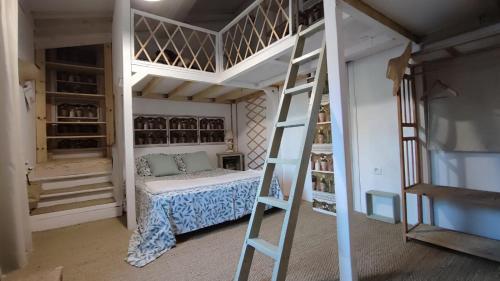 une chambre avec un lit superposé et une échelle dans l'établissement Le gîte du moulin, à Thézan-des-Corbières