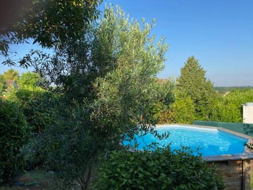 une piscine bleue dans une cour avec un arbre dans l'établissement Le Nid'Ophé Studio Cosy - Proche Disneyland Paris, à Mareuil-lès-Meaux