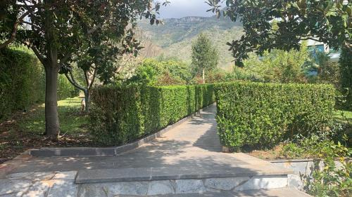 Φωτογραφία από το άλμπουμ του Family Beach Swimming Pool Villa Luanit σε Tragjas