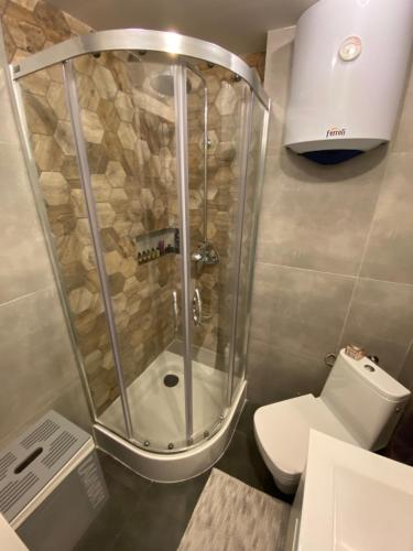 a bathroom with a shower and a toilet at Apartament Starówka in Koszalin