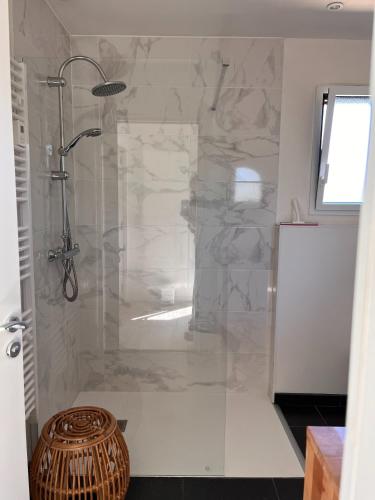 a shower with a glass door in a bathroom at La Sellerie in Romagné