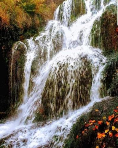 a painting of a waterfall with flowers at Estudio Lara in Valderrama