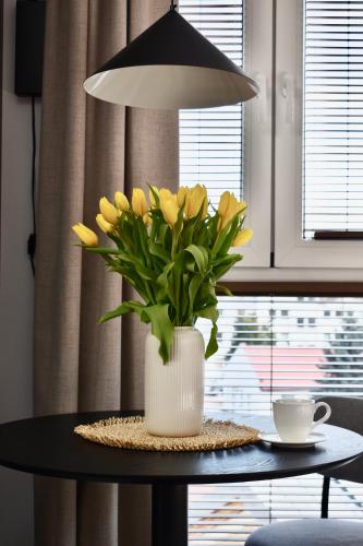 IGIS Apartament z tarasem na dachu