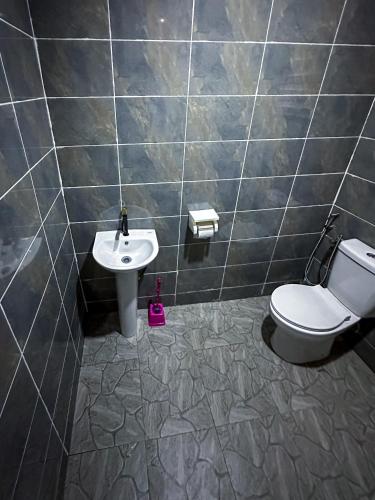 a bathroom with a toilet and a sink at ResideX Apartment in Jidu