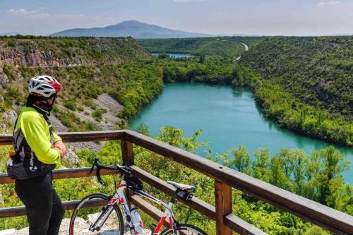 Billede fra billedgalleriet på Villa Silence with pool Near Krka National Park i Ljubotić
