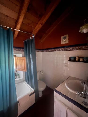 a bathroom with a tub and a toilet and a sink at El Canto del Gallo in Ranedo de Curueño