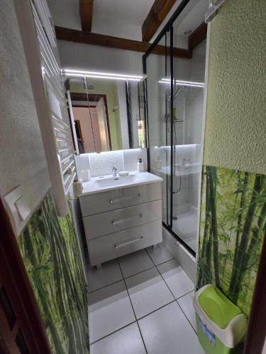 une salle de bain avec un lavabo et une douche dans l'établissement Villa 6p climatisée proche mer piscine equipements nautique, au Barcarès