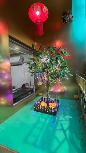 a christmas tree on a table in a room at Golden Mango home hotel 金芒果之家酒店 in Bangkok