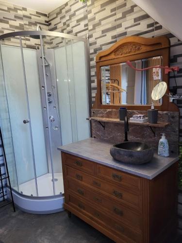 une salle de bain avec douche et lavabo dans l'établissement Quiet apartment in historic village, à Oberbronn