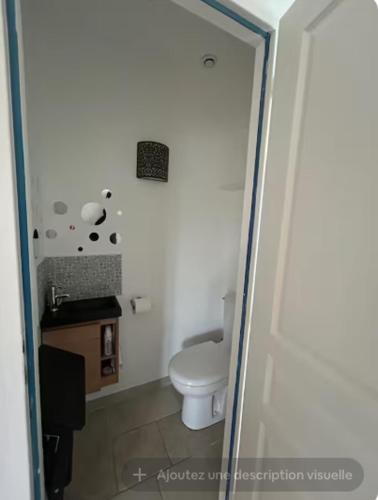 une salle de bain avec des toilettes blanches et un lavabo dans l'établissement La Grande Caravelle - 140 m carré sur jardin, à Montrichard