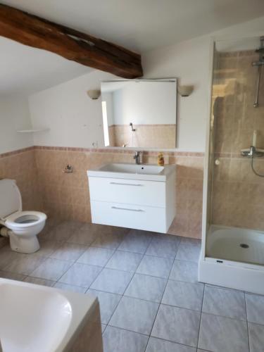 ein Badezimmer mit Toilette, Waschbecken und Dusche in der Unterkunft La Maison de la Grange in Moutiers-sur-le-Lay