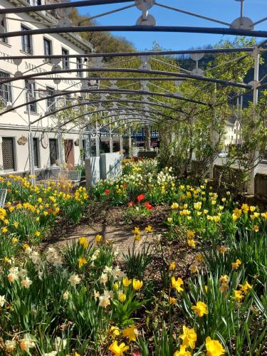a garden of flowers in a greenhouse at Hotel Schloßschenke in Idar-Oberstein