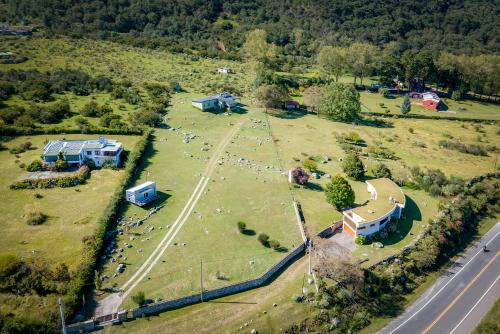 an aerial view of a field with a herd of animals at Casa Las Hortensias in Tafí del Valle
