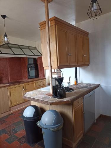 - une cuisine avec un comptoir et deux poubelles dans l'établissement chambre pour 2, à Osmanville