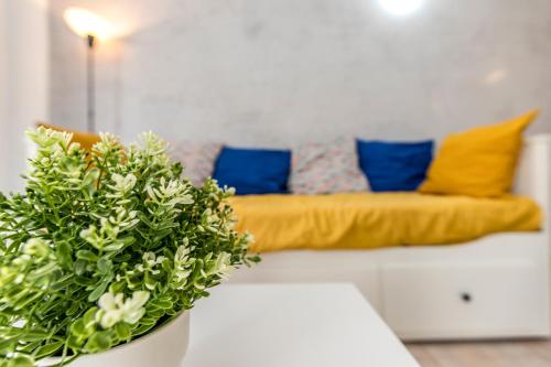 Relax by the Sea at Medano Retreat Terrace Pool