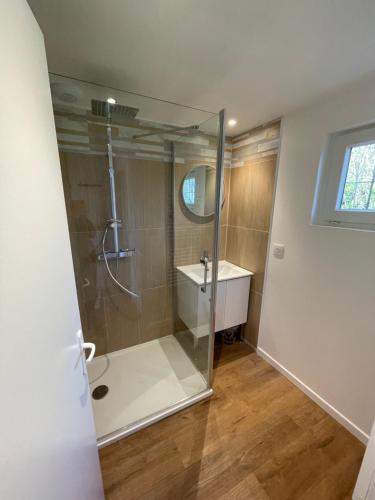 a bathroom with a shower and a sink at Maison à la campagne in Auvilliers
