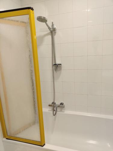 a shower in a bathroom with a mirror at Chalet La Forestière in Saint-Paul-en-Chablais